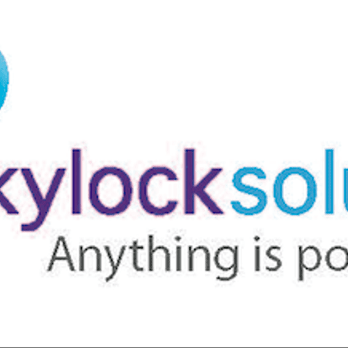 Skylock Social Butterfly Social Media Solutions