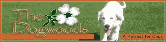 This is a web Banner/header for a new website that