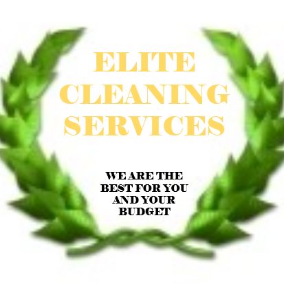 THE Elite Cleaning Services of Middle GA