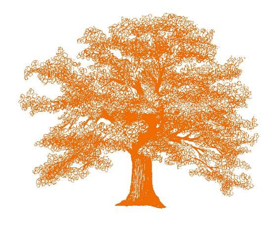 Orange Tree Landscape Services
