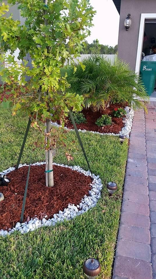 New tree, rock and mulch combo