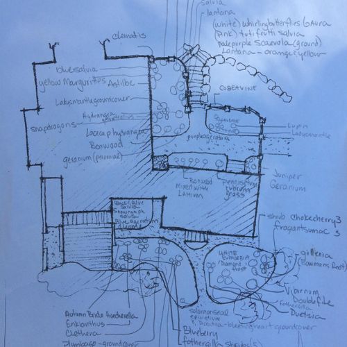 Sketch Plan for New Garden space