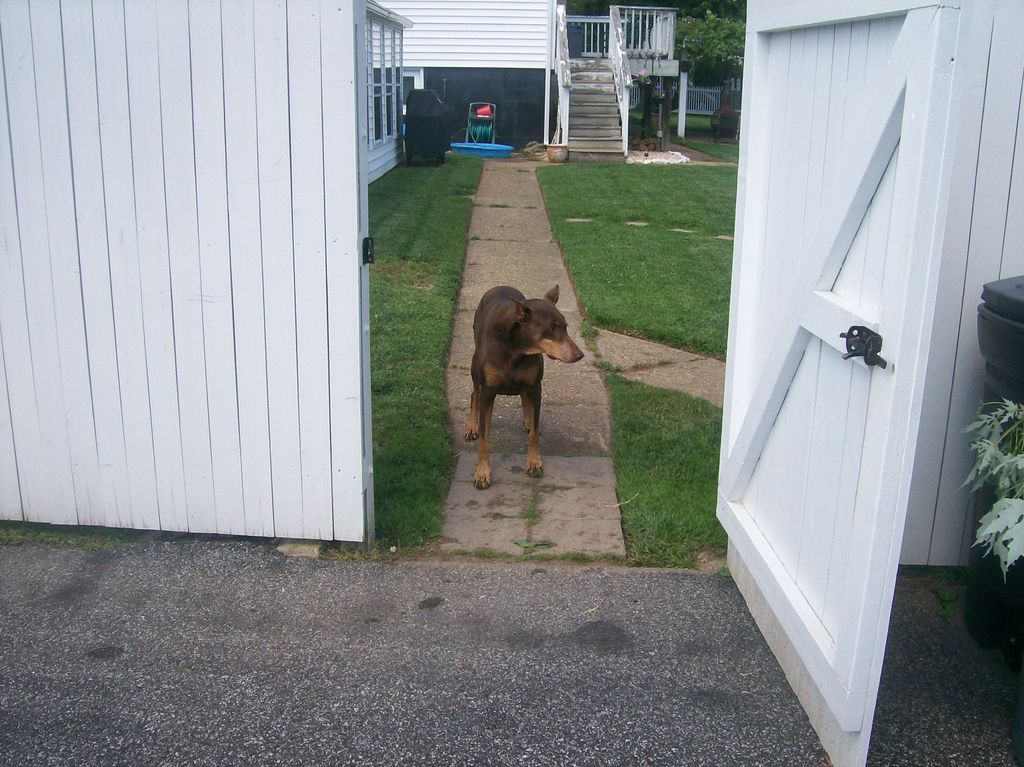Passing through a gate should require approval fir