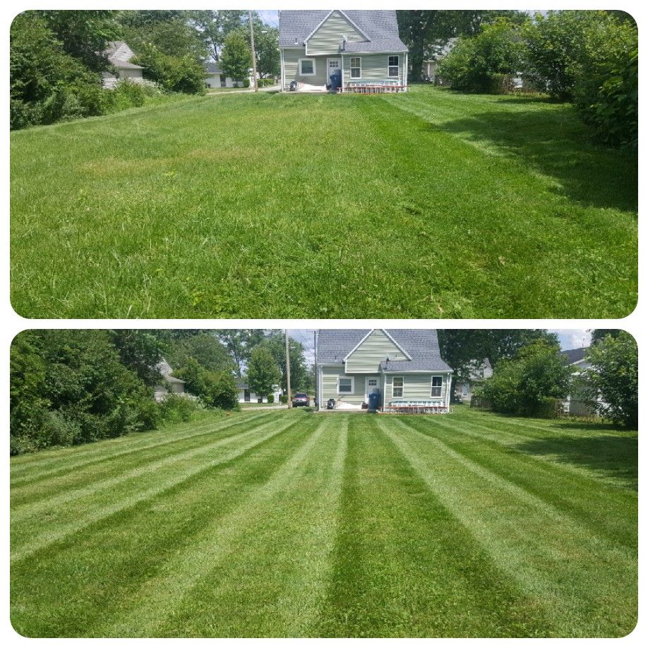 Mad Dog Lawn Care n property maintenance