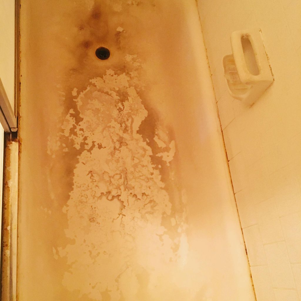 1 year of lime, rust, soap scum build up.  I was n