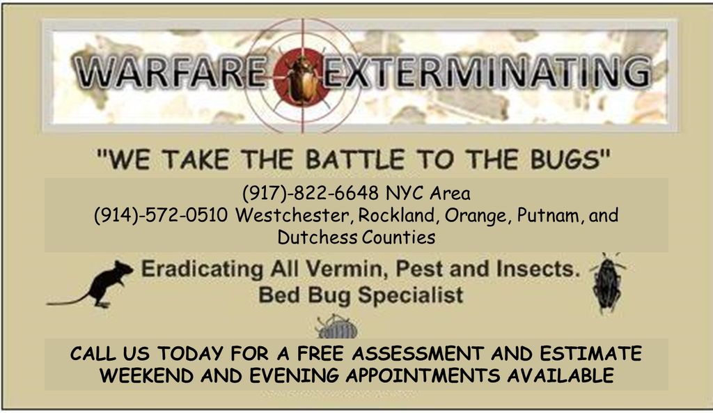 WE TAKE THE BATTLE TO THE BUGS