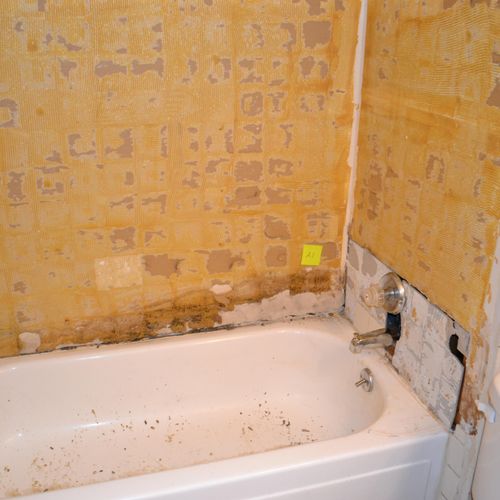 BEFORE: Notice the mold growing around the tub. Th