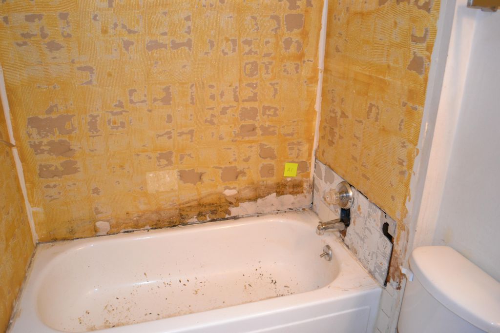 BEFORE: Notice the mold growing around the tub. Th