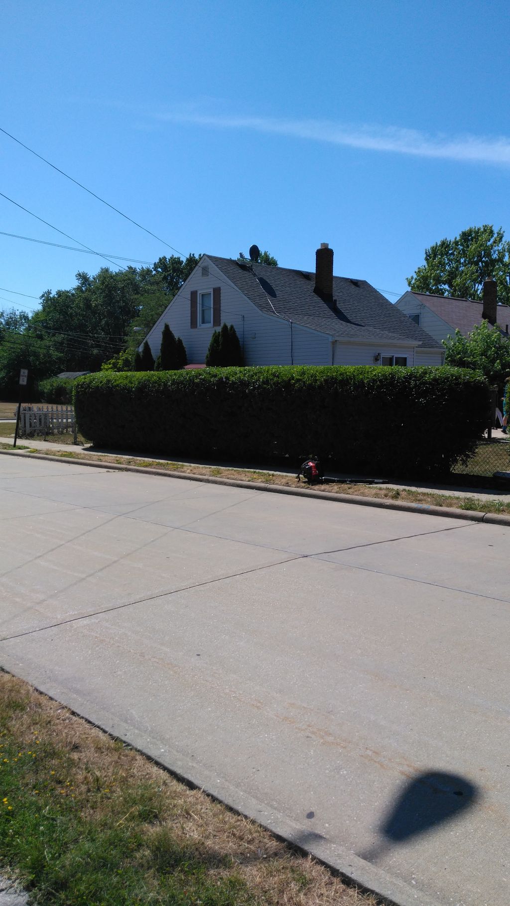fresh cut on the hedges
