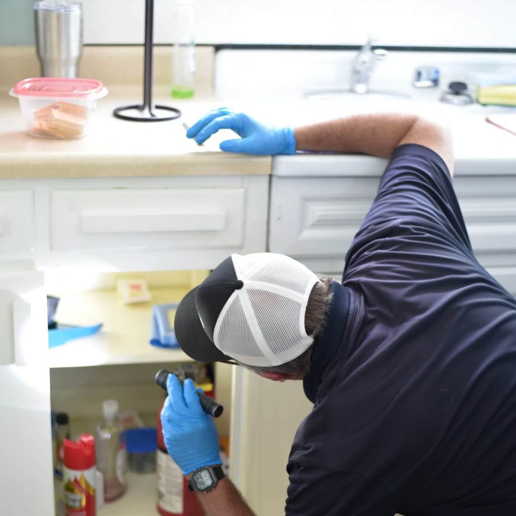 Property Inspections