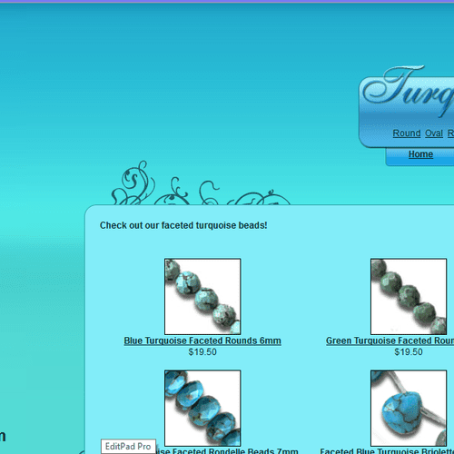 Turquoise Beads Website.  I designed the back end 