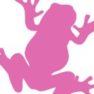 Pink Frog Interactive, Inc.