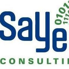 SaYes Consulting Incorporated
