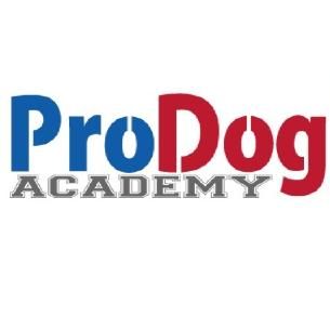 Oscar Rojas ProDog Academy