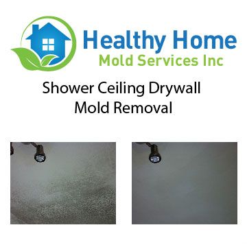 Shower Ceiling Drywall Mold Removal