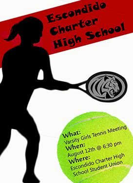Tennis poster created for client to inform student