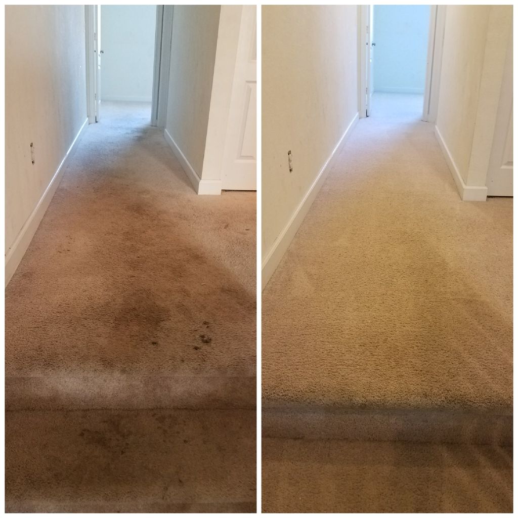 Before on the left side. After deep steam clean on