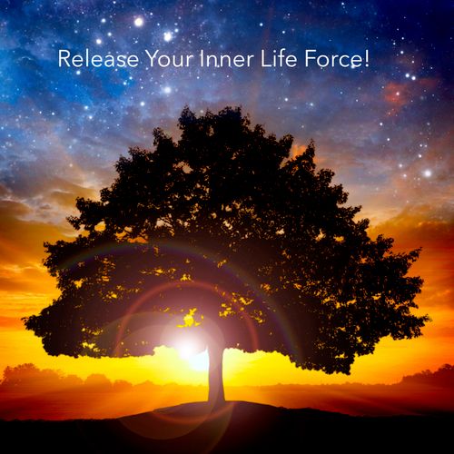 Release Your Inner Life Force!