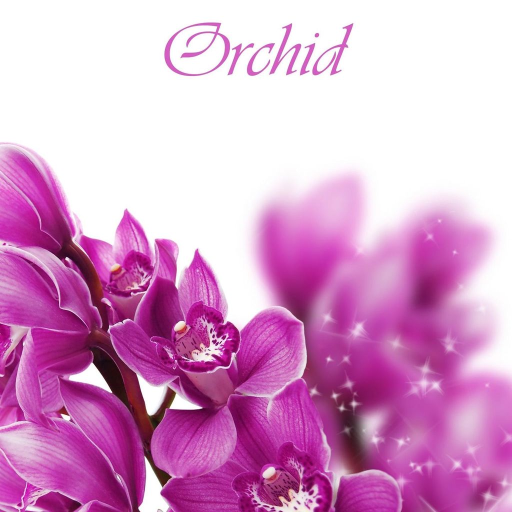 Purple Orchid Events, LLC