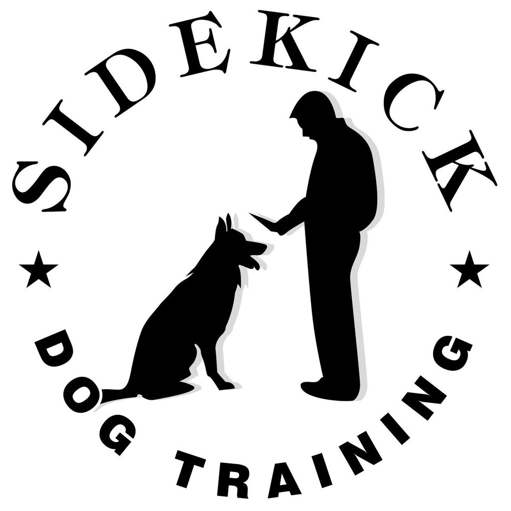Sidekick Dog Training