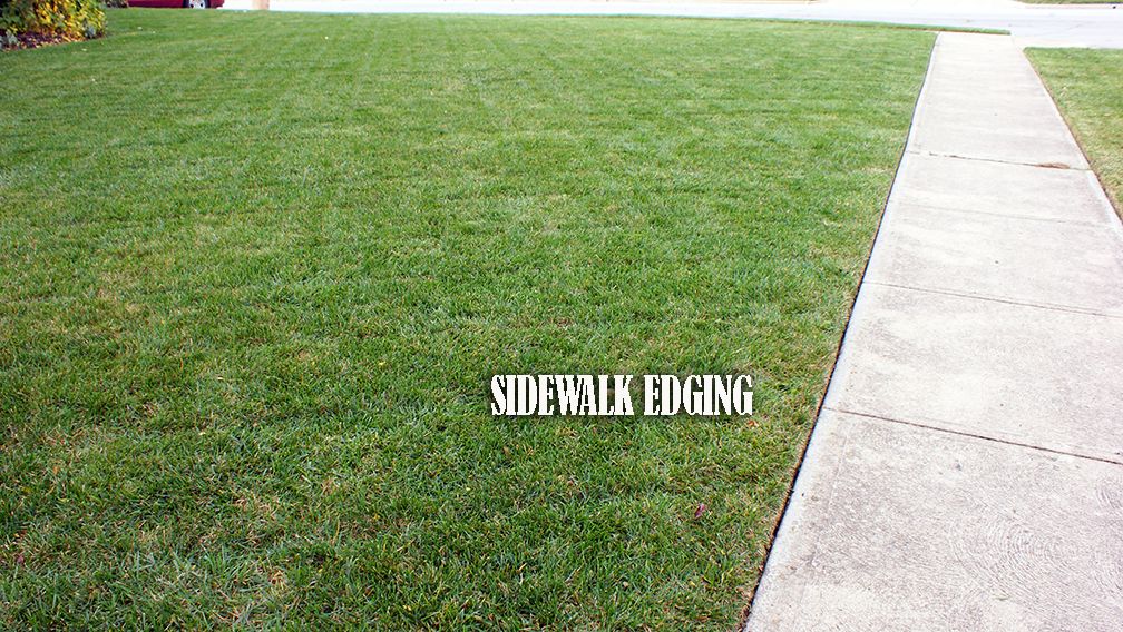 Every yard we cut we edge.