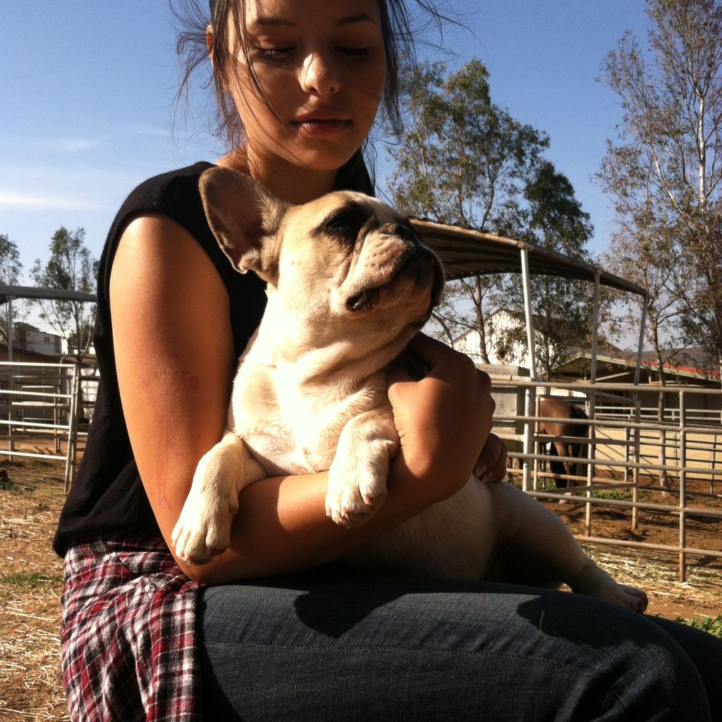 helped my friend out with her new cute little bull