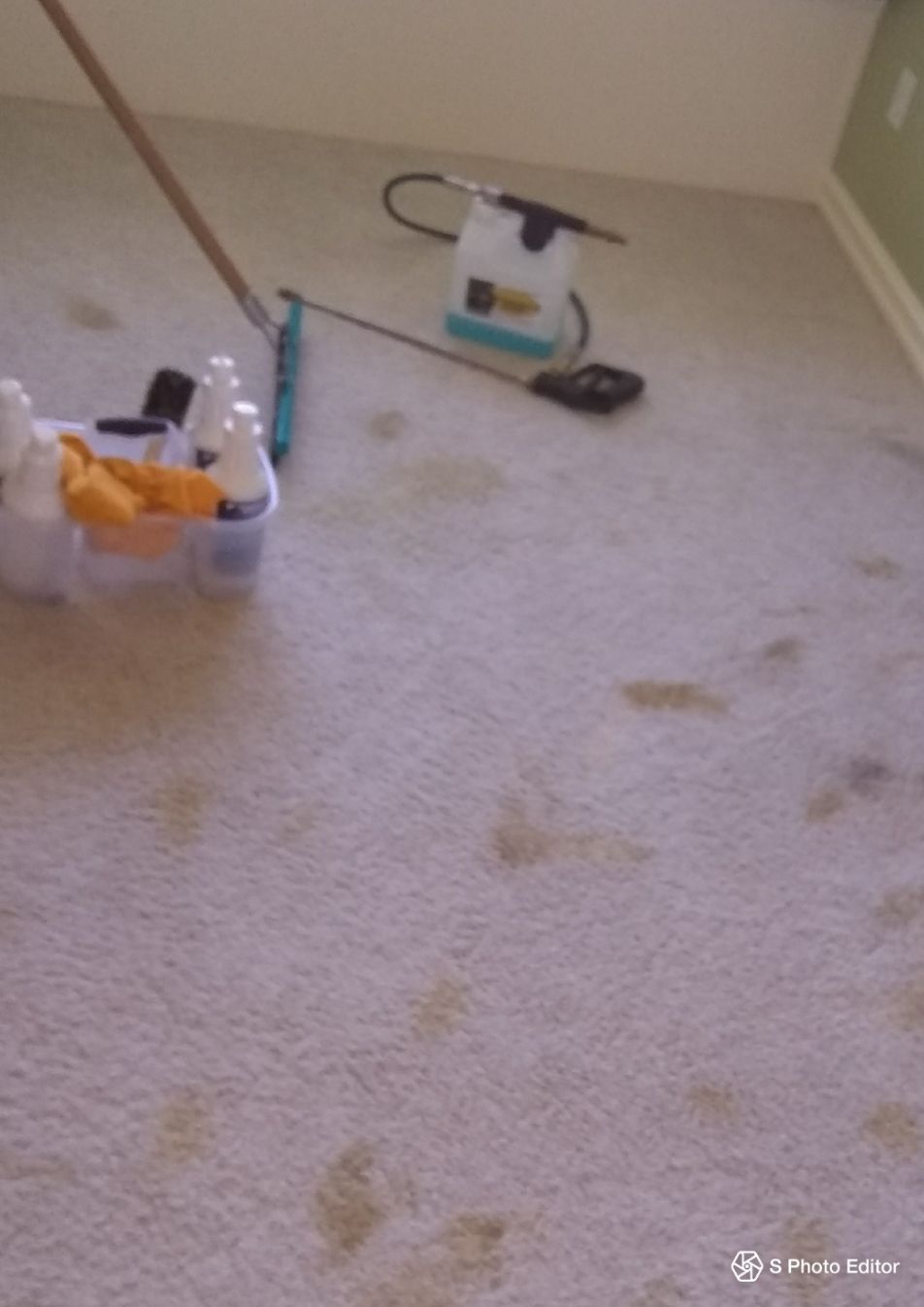 this room a cat had thrown up in before and after 