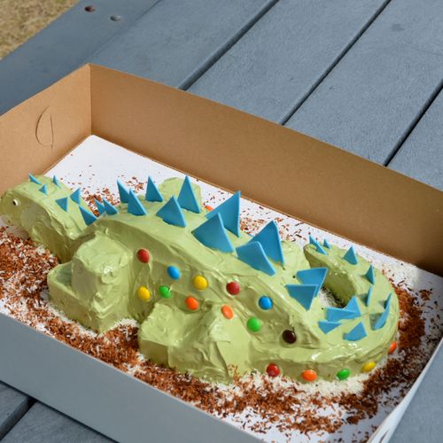 Dinosaur cake! Chocolate cake, the tail is gluten-