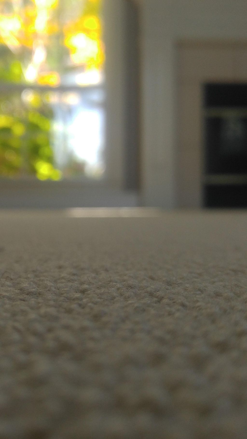 Soft wool carpet - naturally.