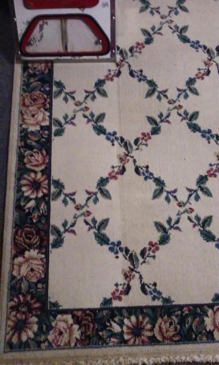 Shara is our main in-plant rug cleaner.