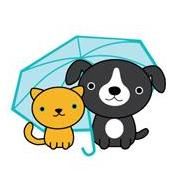 It's Raining Cats & Dogs, Pet Sitters of the Pa...