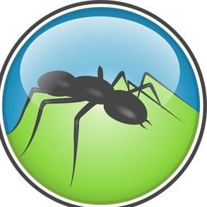 All Seasons Pest Solutions