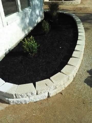 landscaping on a budget