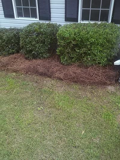 the straw has been layed