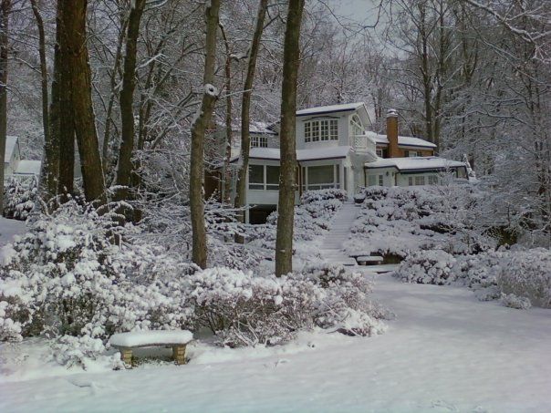 After seeing the renovation at the house next door