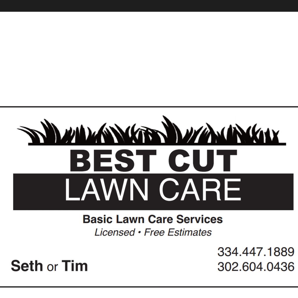 Best cut lawn care