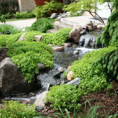 Natural Water Gardens & Streams