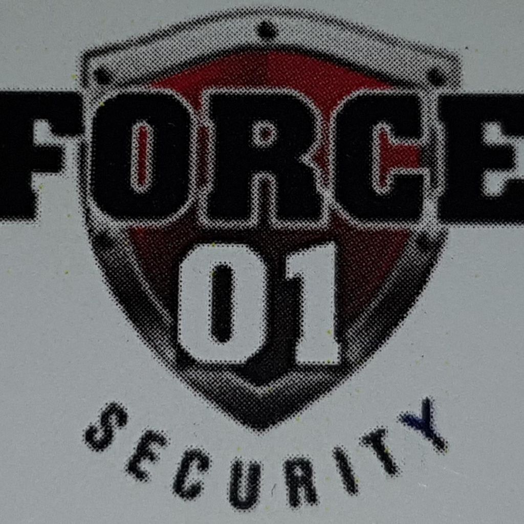 FORCE 01 SECURITY LLC
