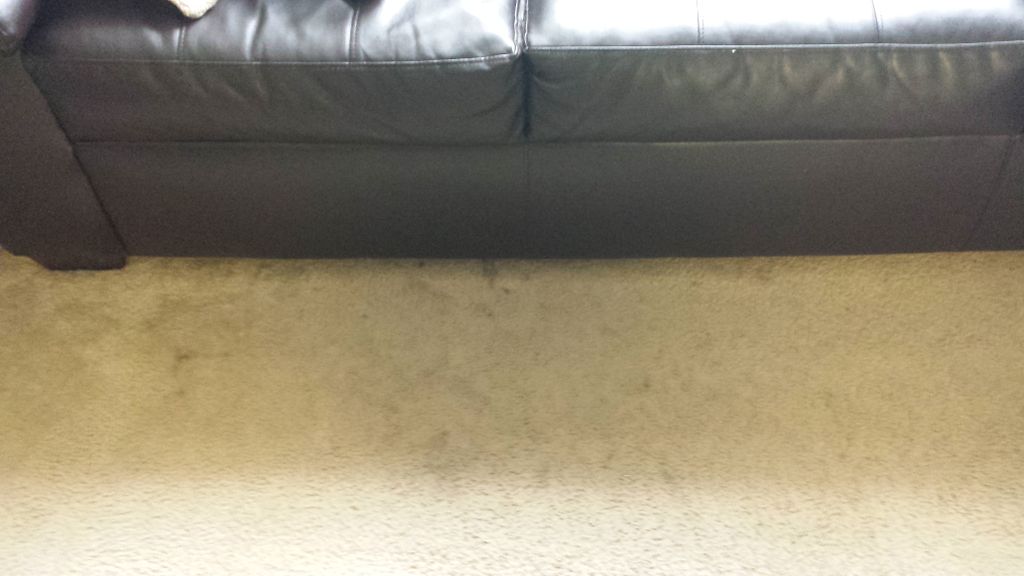 Before photo of dirty carpet