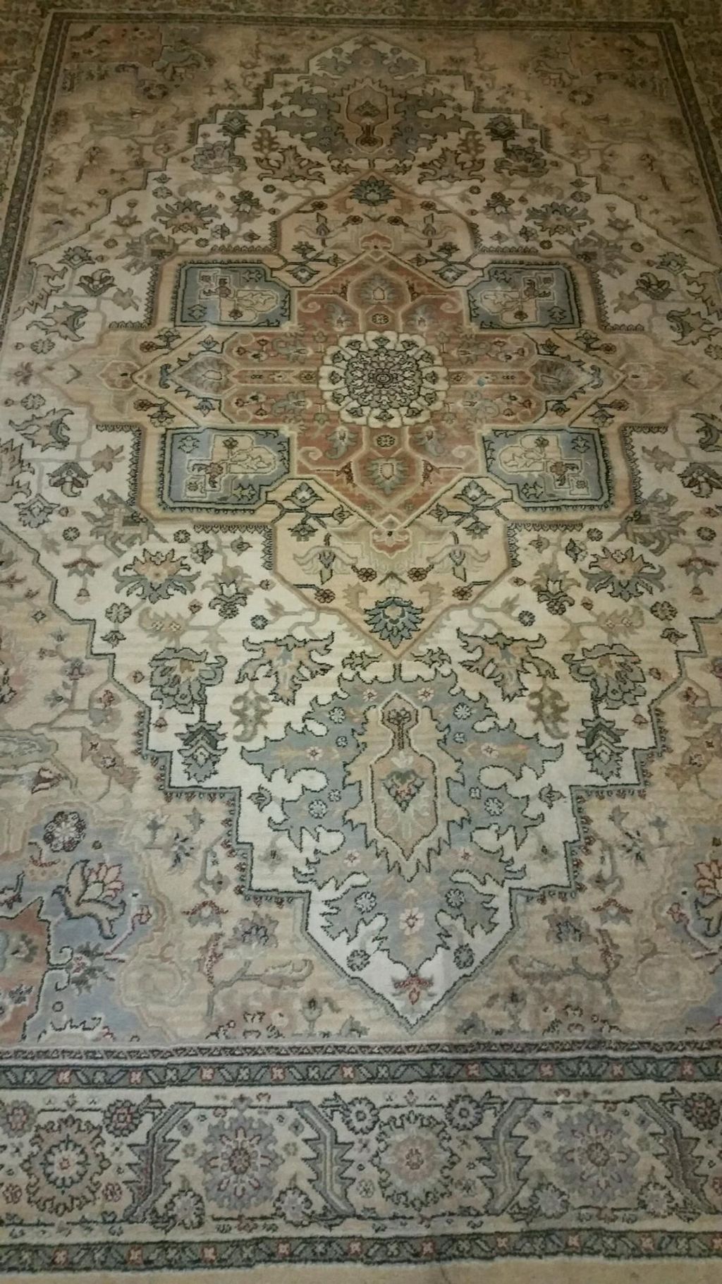 Eight year old synthetic area rug that is professi