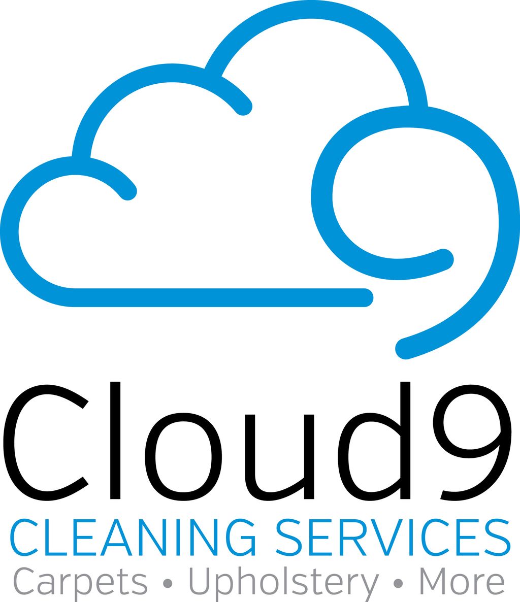 Cloud 9 Cleaning Services needed to rebrand their 