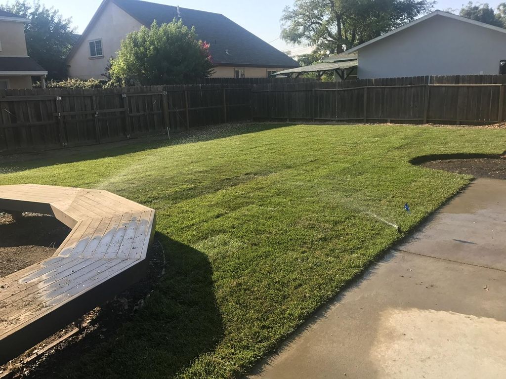 Grass and Sprinklers