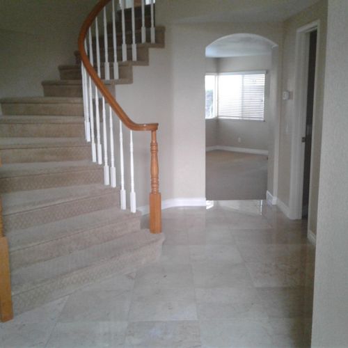 Tile & Carpet cleaning
