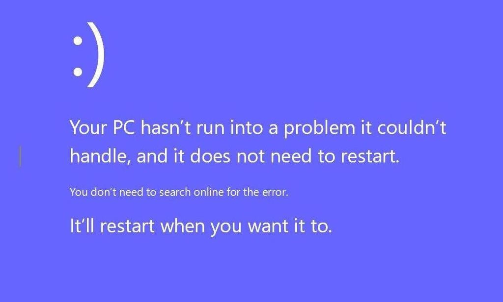 Our Windows "Blue Screen"