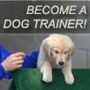 Master Dog Training L.A. Online Trainer Certifi...