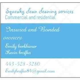 Squeaky Clean Cleaning Service