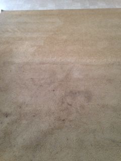 residental cleaning. heavy soiled.