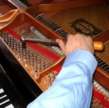 Piano Tuning + Pitch Raise