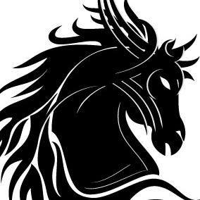 Darkhorse Life and Health Coaching