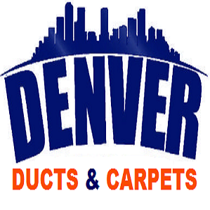 Mile High Dirt And Grime In Denver Carpet Markets Insider